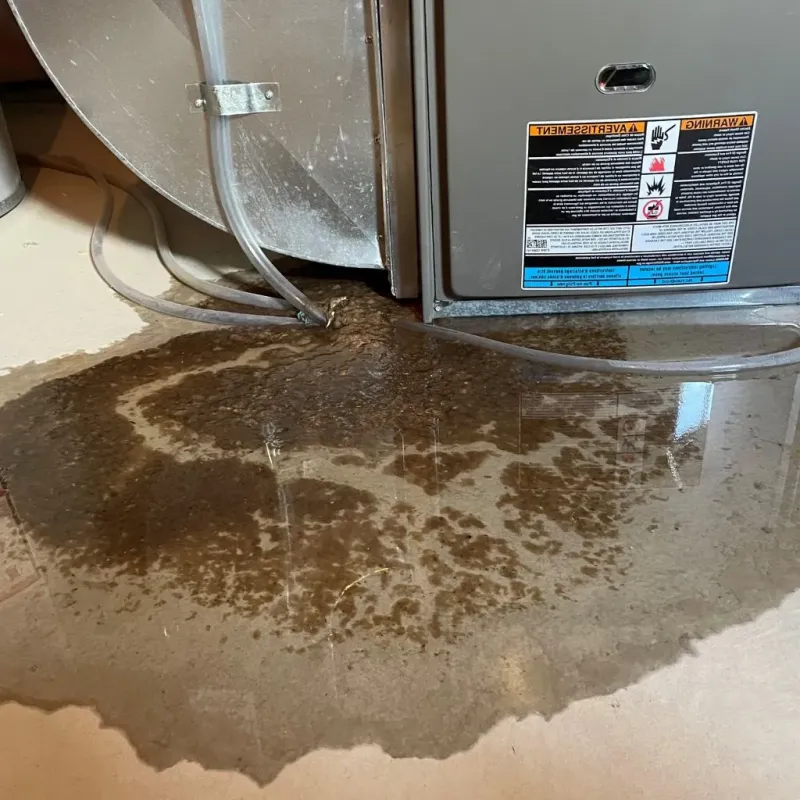 Pipe Burst and Leak Restoration in Cochran County, TX