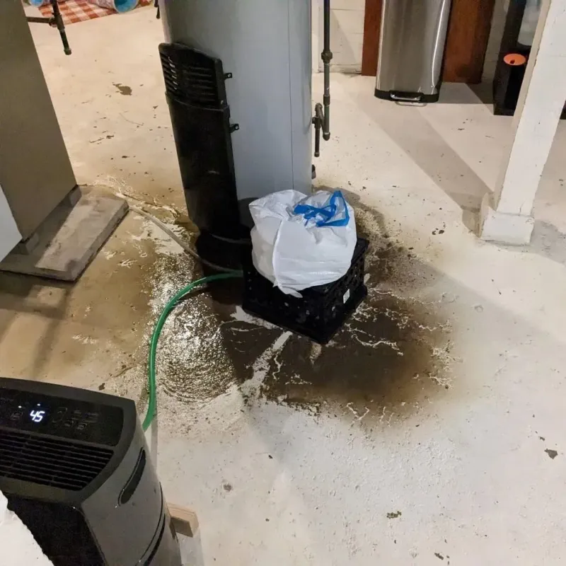Sewage Backup Cleanup Service in Cochran County, TX